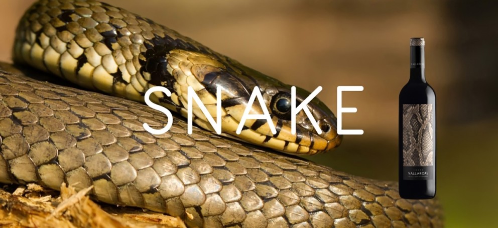 cabecera-vallarcal-snake.jpg