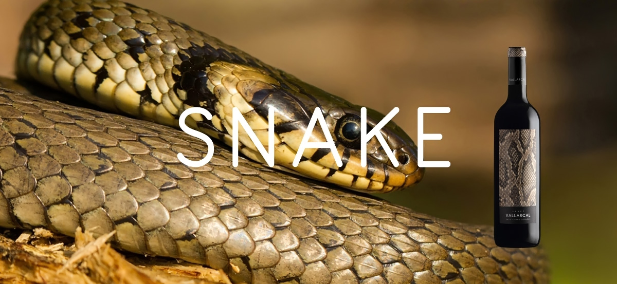 snake