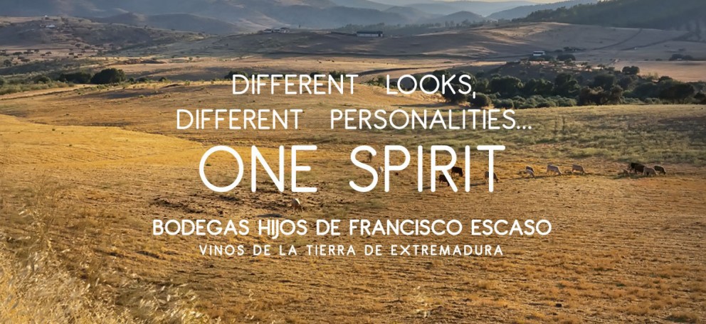 Differents Looks, differents personalities... One Spirit